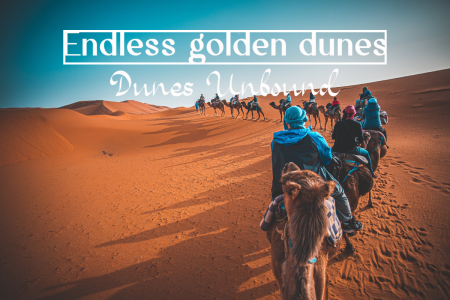 Endless golden dunes