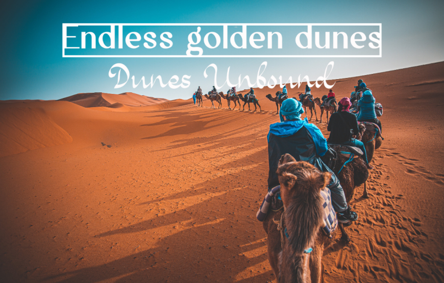 Endless golden dunes