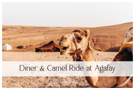 Dinner and Camel Ride at Agafay Desert